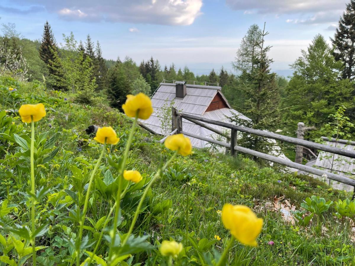 Velika Planina Chalet Slovenka Stahovica Zewnętrze zdjęcie