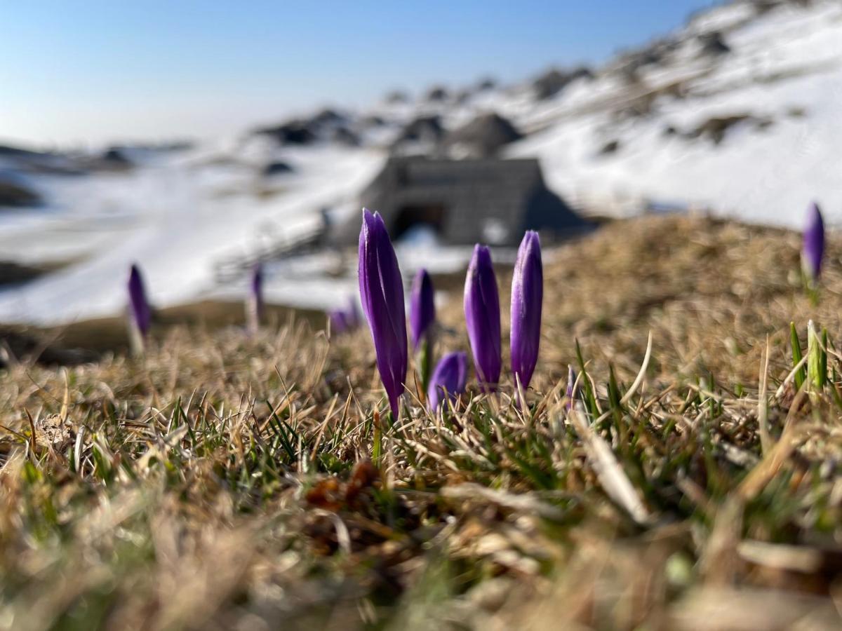 Velika Planina Chalet Slovenka Stahovica Zewnętrze zdjęcie